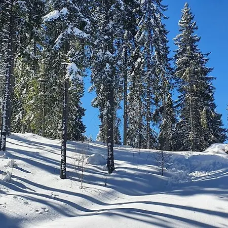 Apartament палас -pamporovo Palace 100 Meters To The Lift *