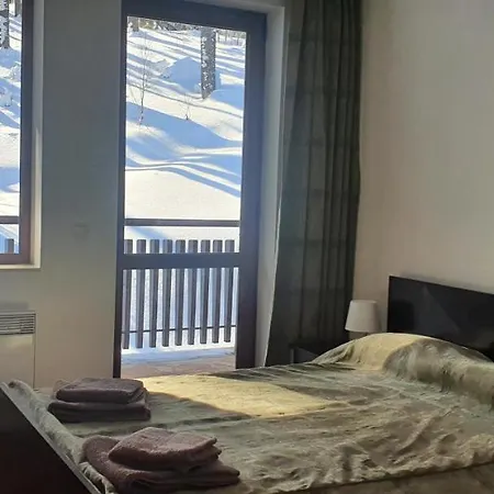 Apartament палас -pamporovo Palace 100 Meters To The Lift Pamporovo